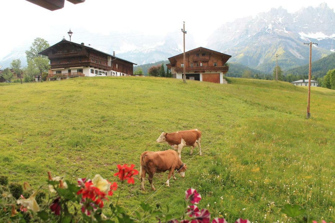 Pension Sunnberg Going am Wilden Kaiser Экстерьер фото